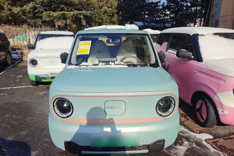 Used  Panda 2024 Panda Mini 200km Endurance Bear