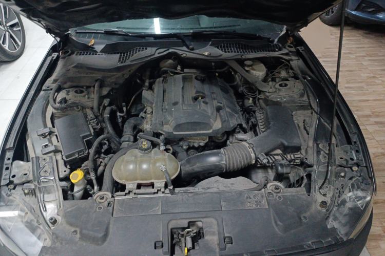 Used Ford Mustang 2019 2.3L EcoBoost Performance Enhanced Edition
