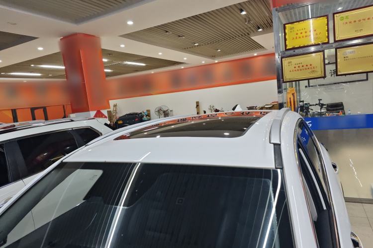 Used  Zhuifeng 2020 Chasing the Waves Edition 1.5T CVT Xingrui Version
