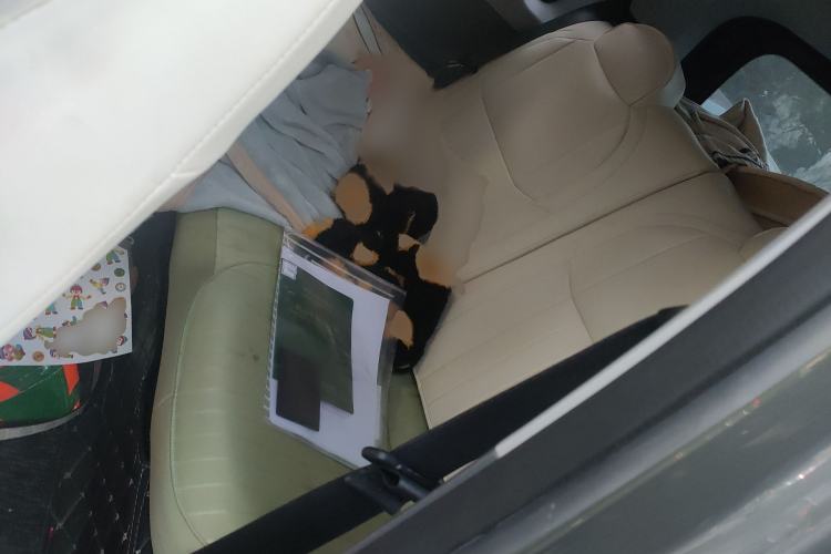 Used  Panda 2023 Panda Mini New Year Edition Treasure Bear
