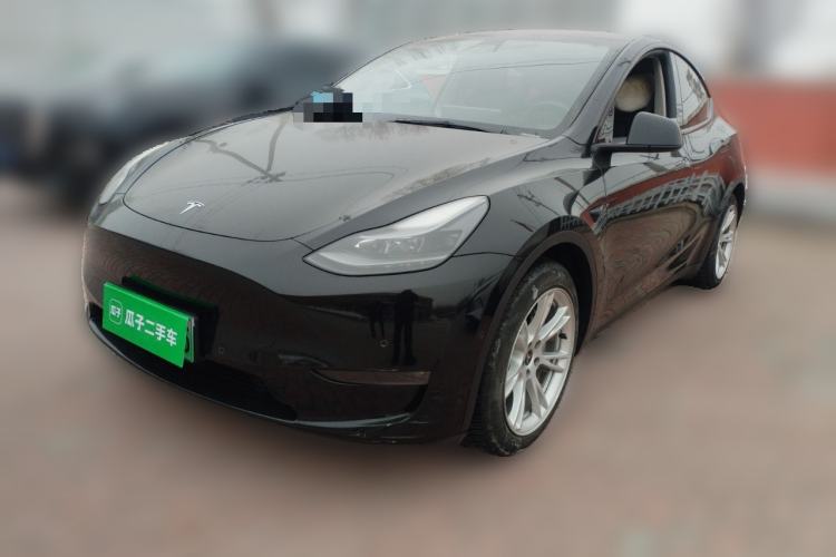 Used Tesla Model Y 2021 Standard Range Rear-Wheel Drive Version