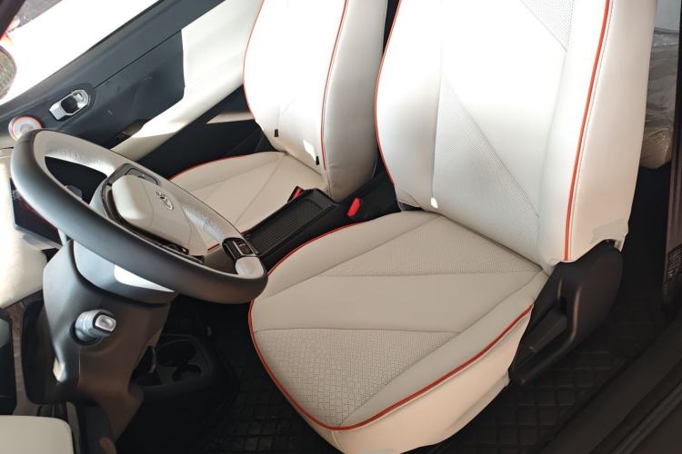 Used Chery Little Ant 2024 Facelifted 321km Beloved Edition
