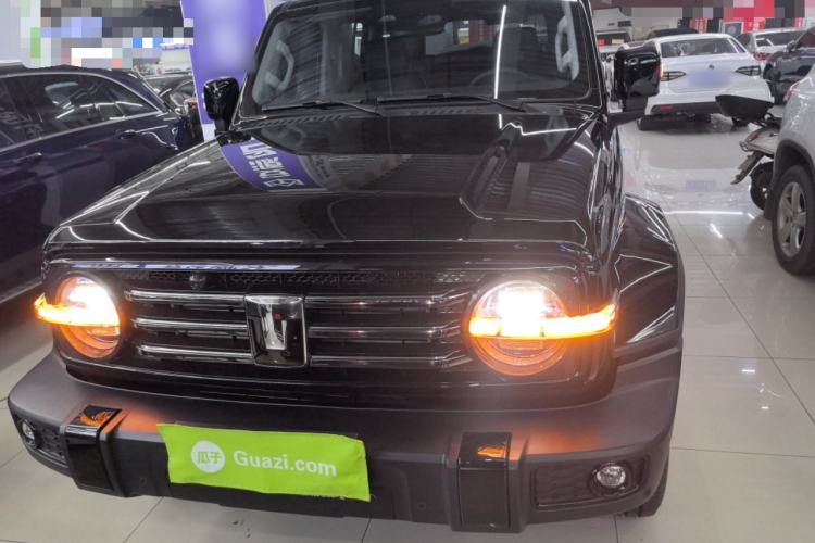 Used Tank 300 2024 2.0T Crosser
