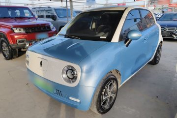 Used ORA Black Cat 2021 301 km Basic Version