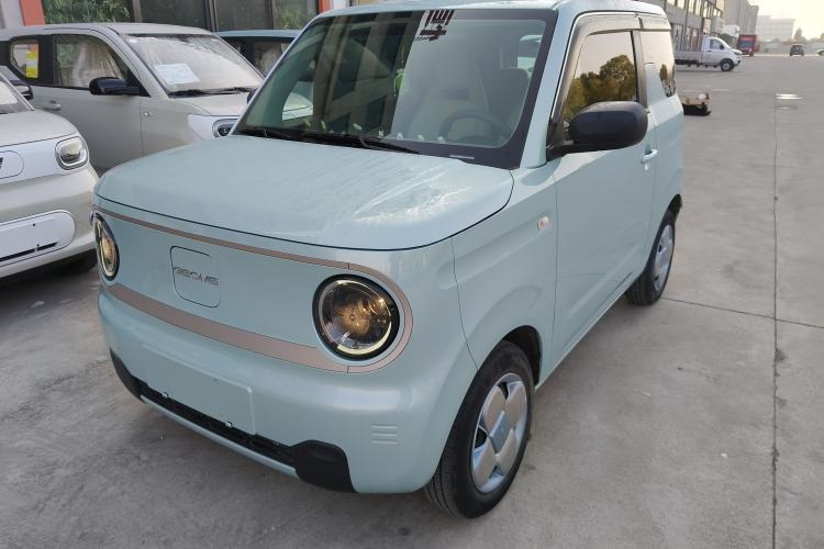 Used  Panda 2023 Panda Mini 200km Endurance Bear