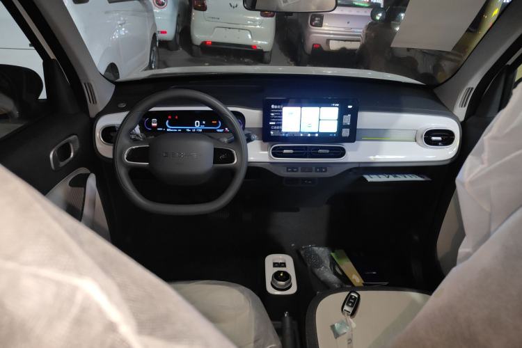 Used  Panda 2025 210 km – Yuanqi Bear
