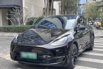 Used Tesla Model Y 2021 Standard Range Rear-Wheel Drive Version