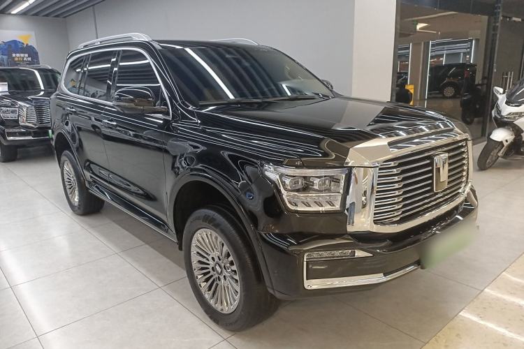 Used Tank 500 New Energy 2024 Hi4-T
