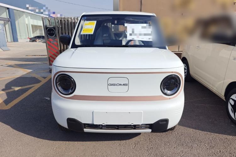 Used  Panda 2024 Panda Mini 200km Endurance Bear