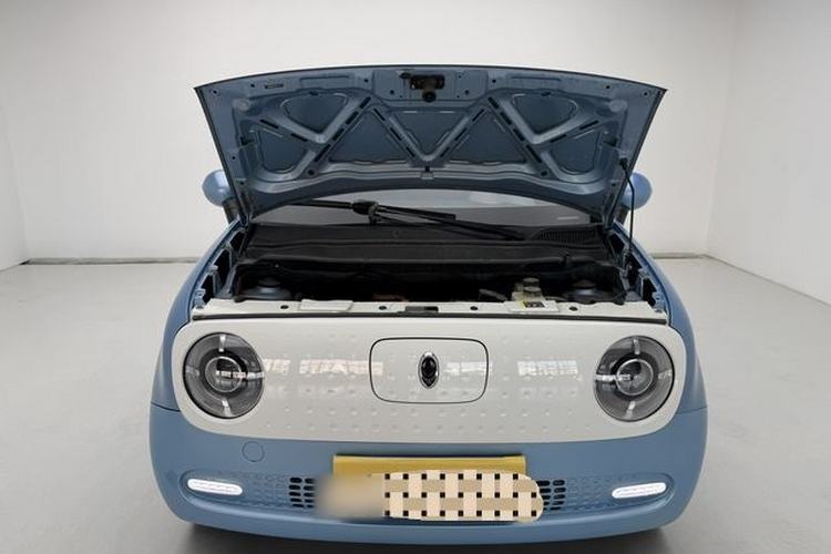 Used ORA Black Cat 2019 351 km Family Edition