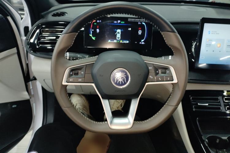 Used BYD Qin PLUS 2024 HONOR Edition DM-i 55KM Leading Model
