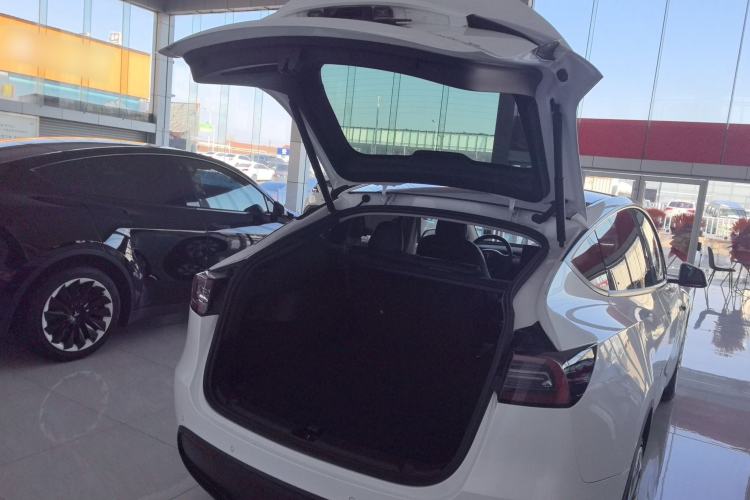 Used Tesla Model Y 2021 Standard Range Rear-Wheel Drive Version
