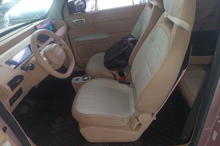 Used  Panda 2023 Panda Mini 200km Endurance Bear
