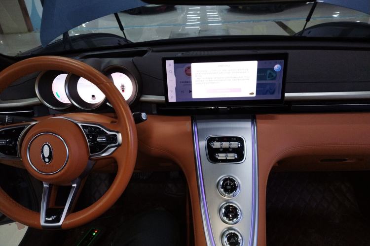 Used ORA Lightning Cat 2022 555 km Luxury Edition