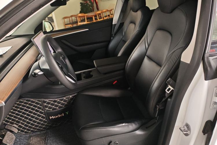 Used Tesla Model Y 2021 Standard Range Rear-Wheel Drive Version
