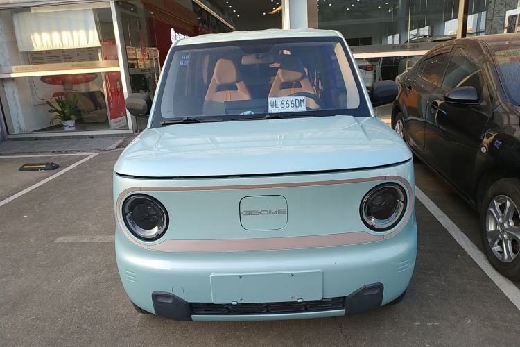 Used  Panda 2023 Panda Mini 200km Endurance Bear
