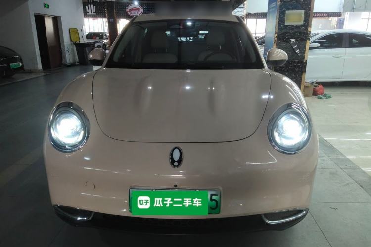 Used ORA Good Cat 2022 Morandi Edition 400km Standard Range Luxury Version Lithium-Ion Battery