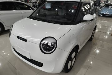 Used Qiyuan Lumin 2023 301km Honey Dew Edition
