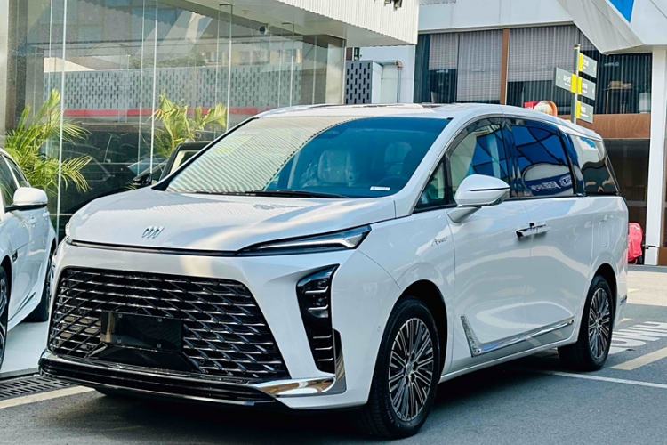 Used Buick GL8 New Energy 2024 Lu Zun Luxury Edition 6-Seater
