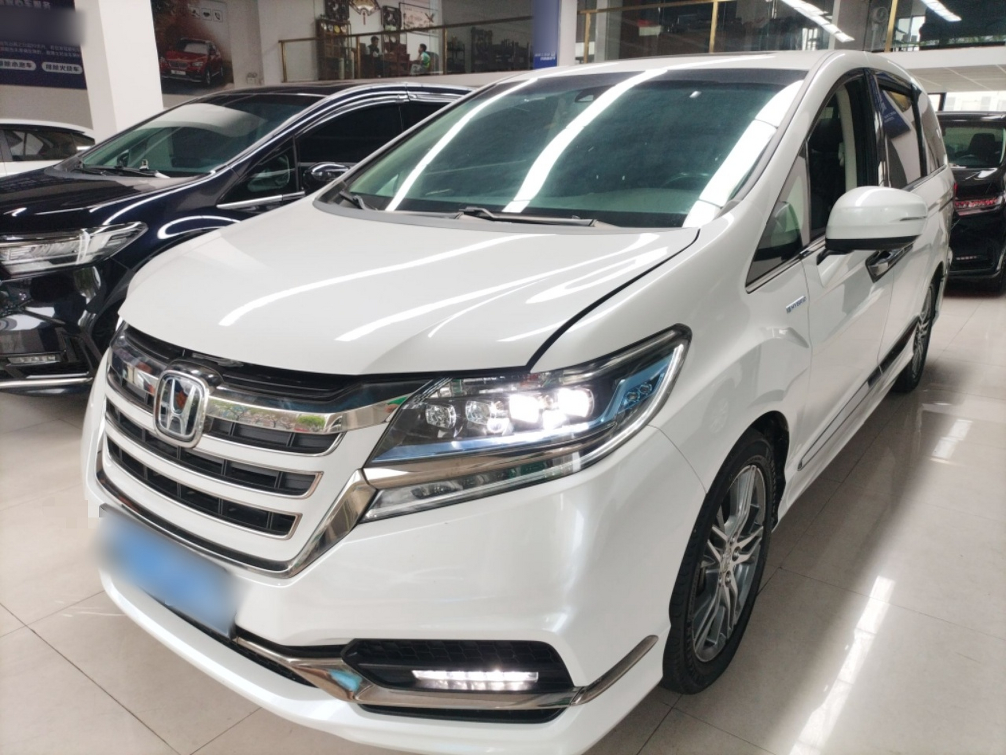 تحت مقدمة السيارة