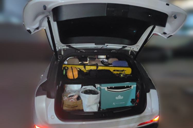 Used Lincoln Corsair 2020 2.0T Two-Wheel Drive Luxury Edition