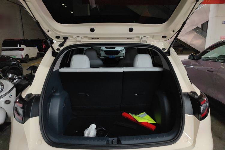 Used  Geome 2025 310km Youth Edition
