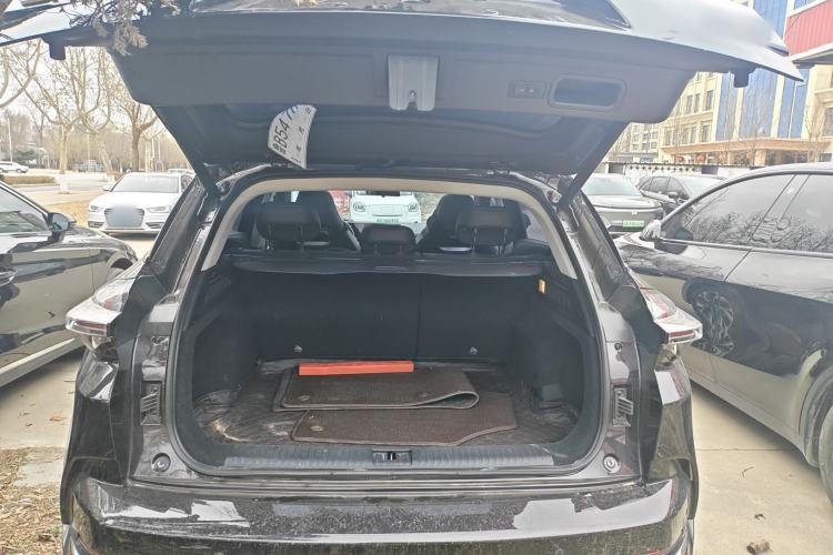 Used NETA U 2022 NETA U-Ⅱ 500 Lithium Iron Phosphate
