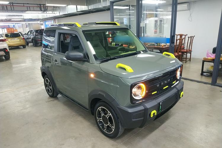 Used  Panda 2024 200km Panda Rider
