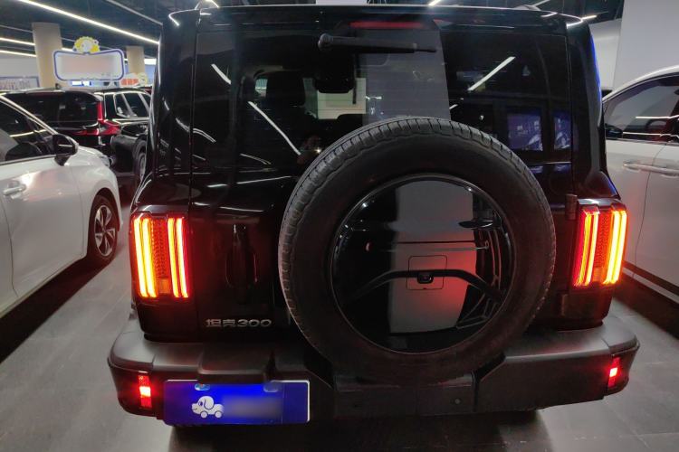 Used Tank 300 2024 2.0T Crosser
