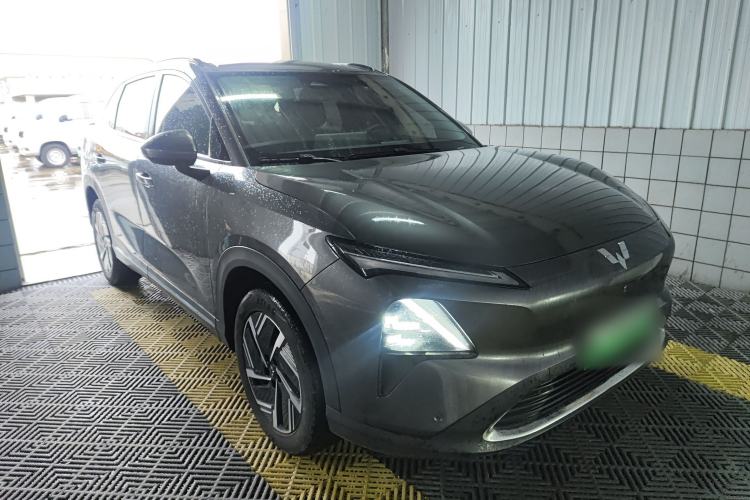 Used Wuling Xingguang S 2024 130 km Flagship Version
