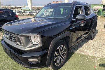 Used Haval H Dog 2023 1.5T Two-Wheel Drive Chao Ye Version Plus