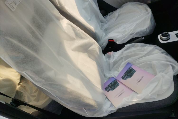 Used  Panda 2025 210km Panda Kart