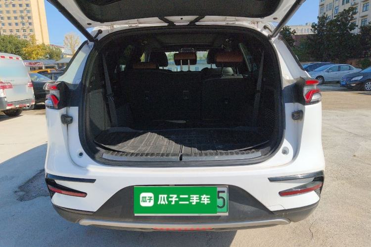 Used BYD Tang New Energy 2021 DM 2.0T Four-Wheel Drive High-Performance Luxury Model
