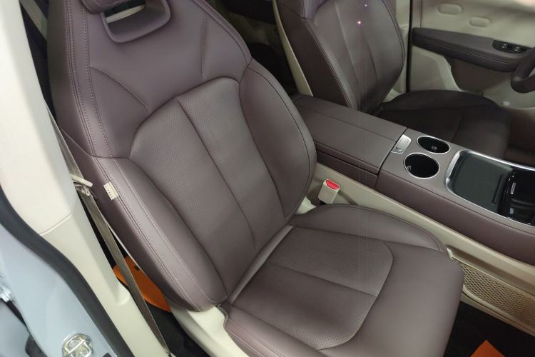 Used Leapmotor C11 2023 Pure Electric 500 Comfort Edition
