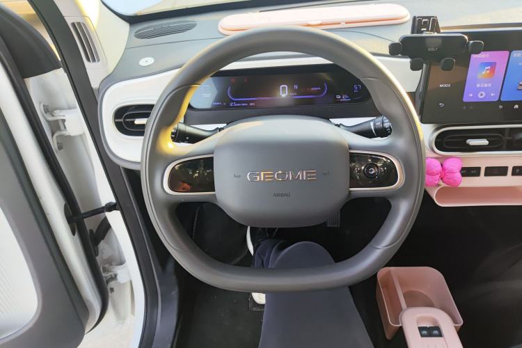 Used  Panda 2025 210 km – Yuanqi Bear