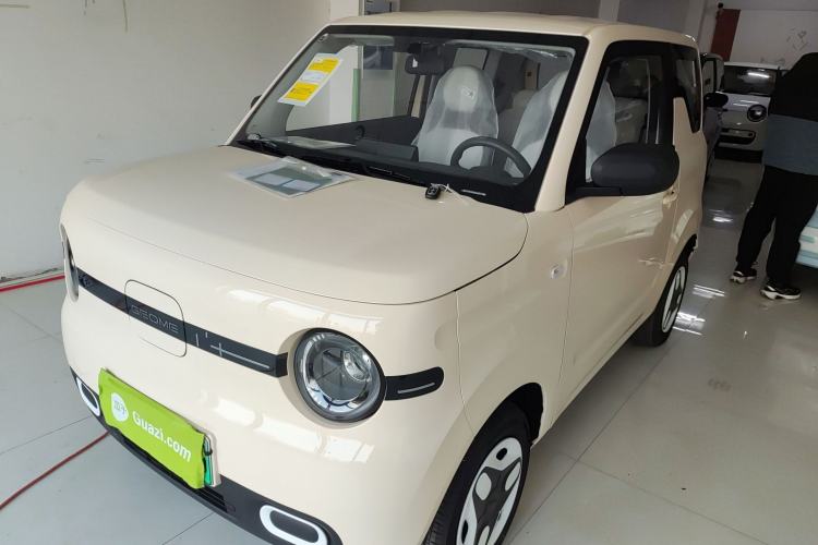 Used  Panda 2025 210 km – Yuanqi Bear
