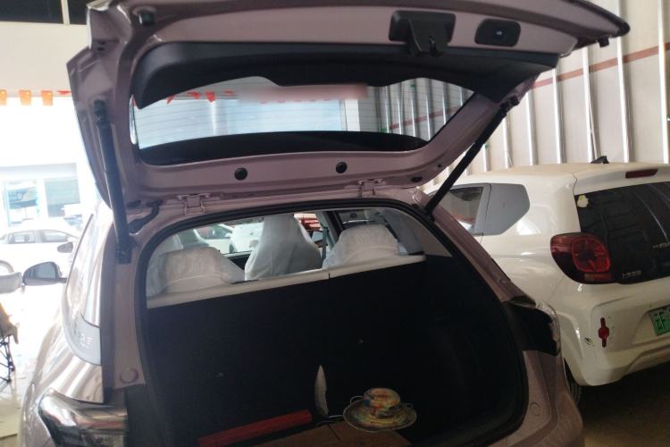 Used  Geome 2025 310km Dream Edition