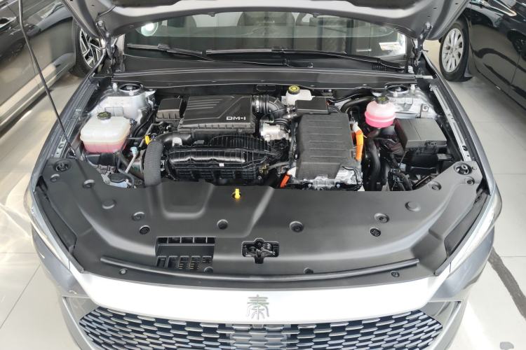 Used BYD Qin PLUS 2024 HONOR Edition DM-i 55KM Leading Model
