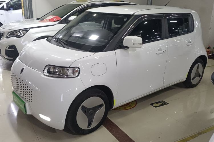 Used ORA White Cat 2020 360 km Luxury Version
