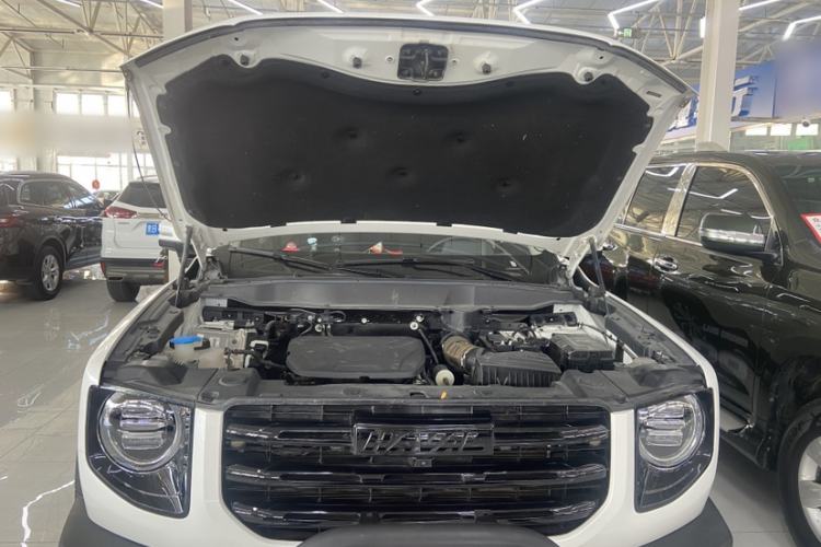 Used Haval DARGO 2022 1.5T DCT Two-Wheel Drive Border Collie Edition