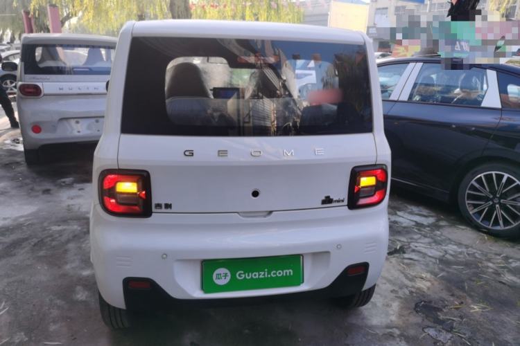 Used  Panda 2024 Panda Mini 200km Endurance Bear
