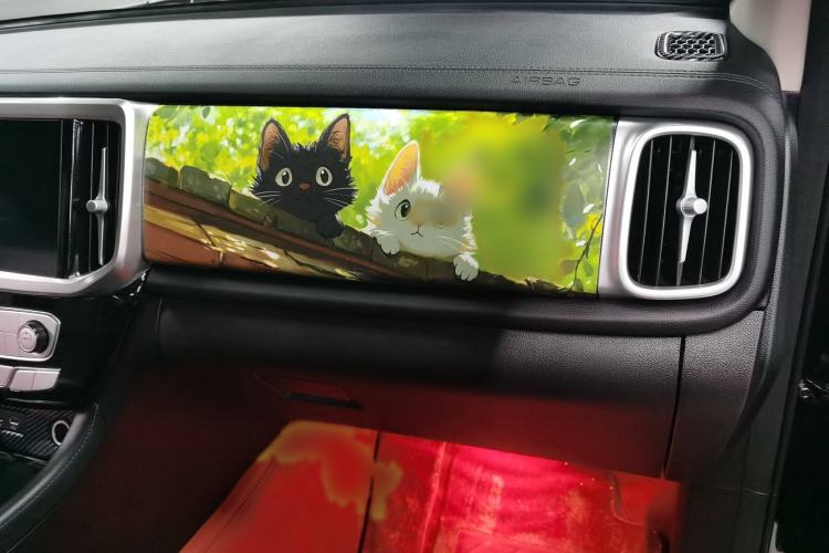 Used Great Wall Poer 2021 2.0T Global Version Automatic Diesel 4x4 Comfort Trim Standard Box GW4D20M
