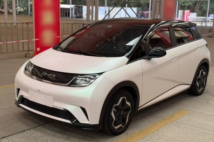 Used BYD Dolphin 2021 405 km Free Version