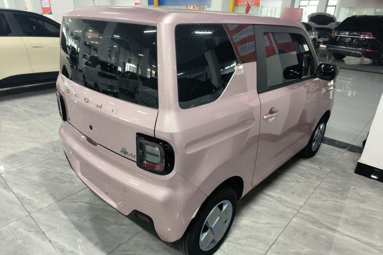 Used  Panda 2024 Panda Mini 200km Endurance Bear