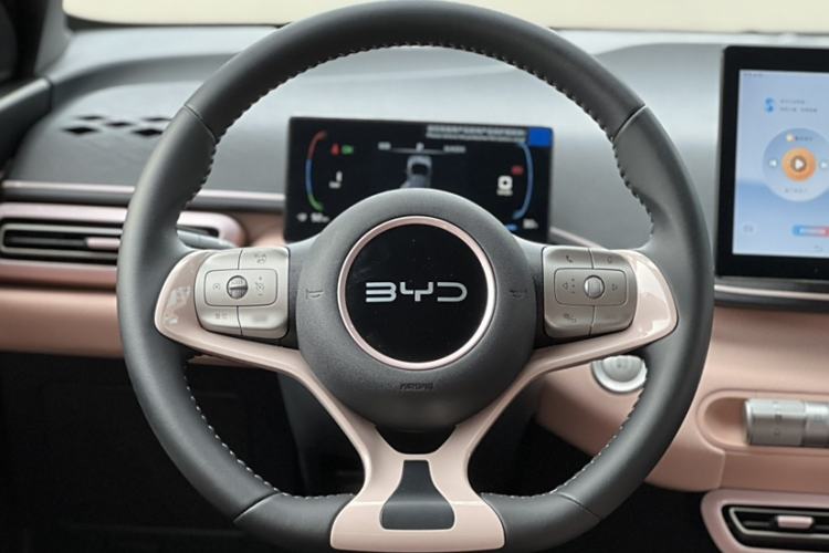 Used BYD Seagull 2024 Honor Edition 305km Freedom Version
