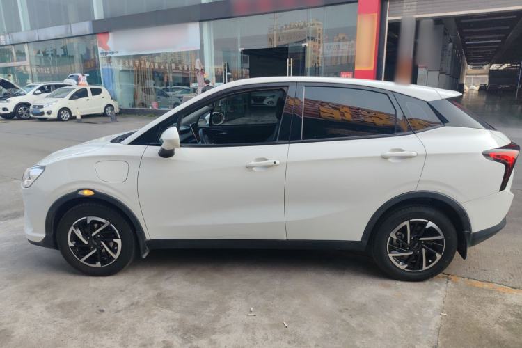 Used NETA V 2021 Long-Range Entertainment Edition Upgrade Model
