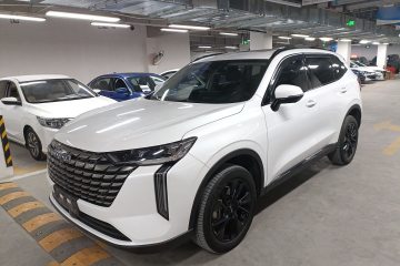 Used Haval H6 2024 2.0T All-Wheel Drive Max