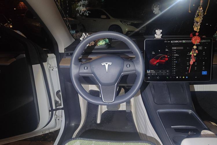 Used Tesla Model Y 2021 Standard Range Rear-Wheel Drive Version
