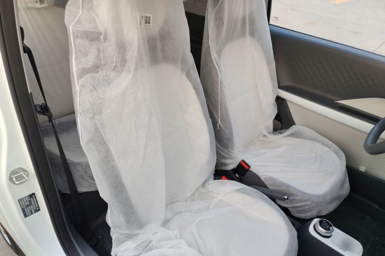 Used  Panda 2025 210 km – Yuanqi Bear
