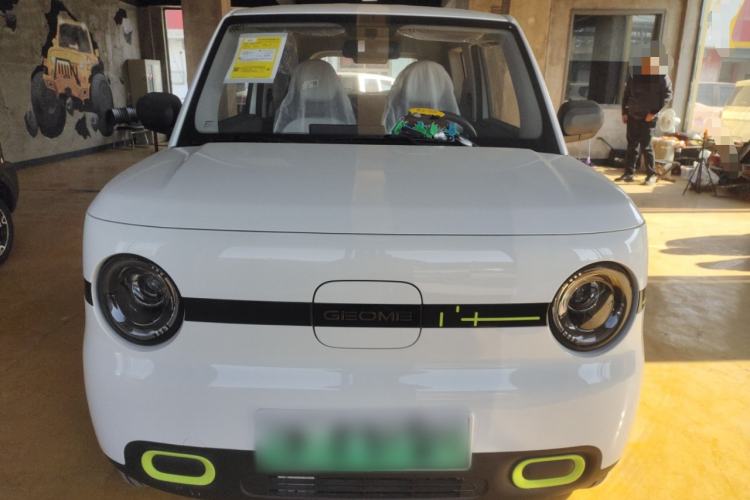 Used  Panda 2025 210 km – Yuanqi Bear